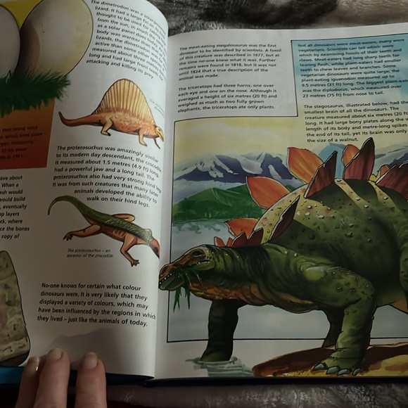500 Fantastic Facts - Picture 4 of 7